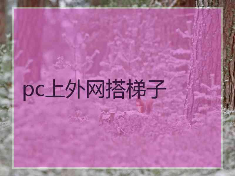 pc上外网搭梯子