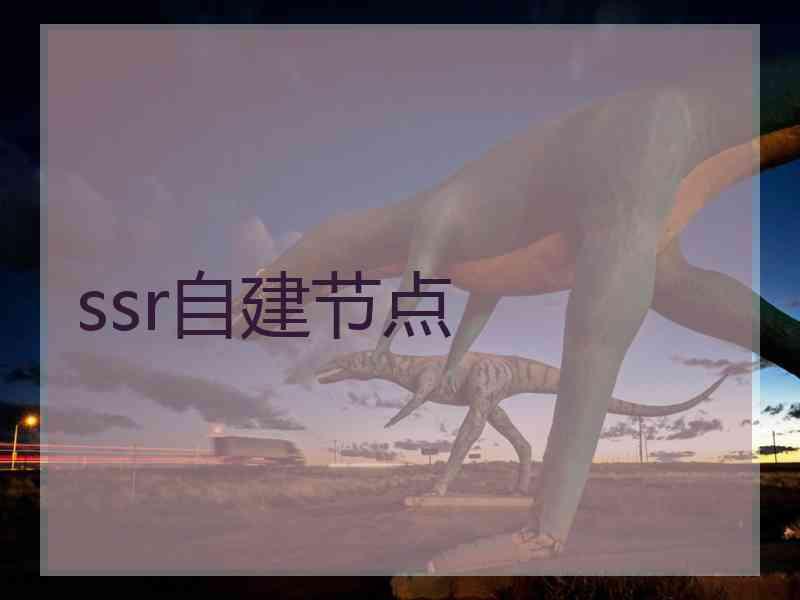 ssr自建节点