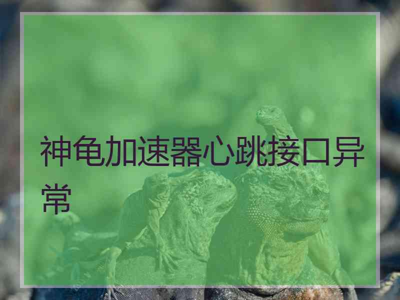 神龟加速器心跳接口异常
