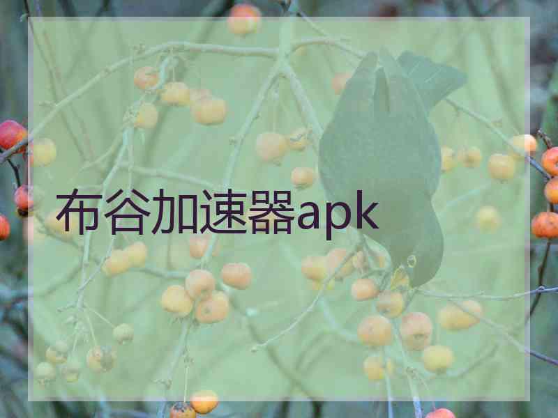 布谷加速器apk