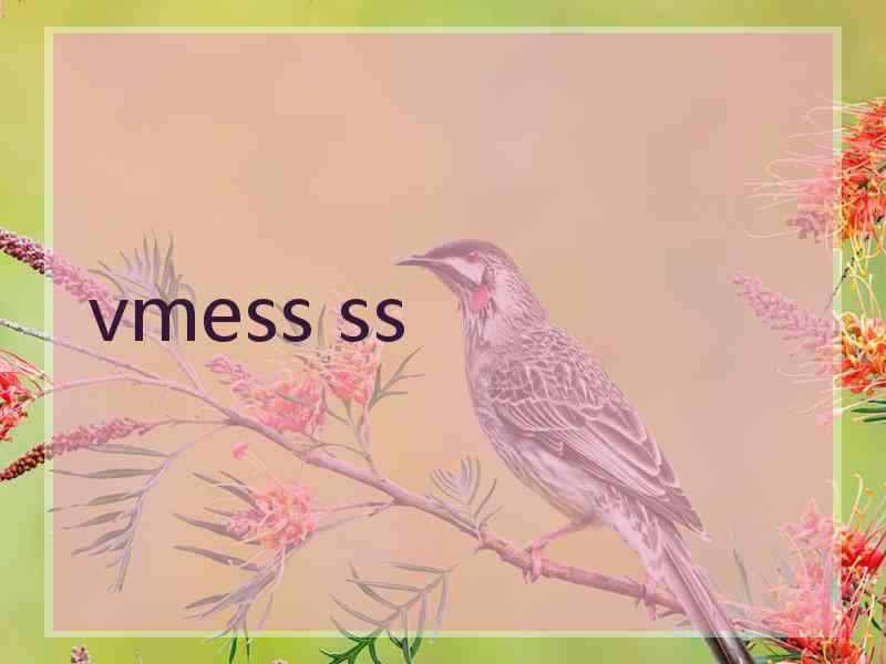 vmess ss