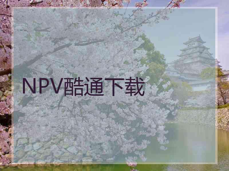 NPV酷通下载