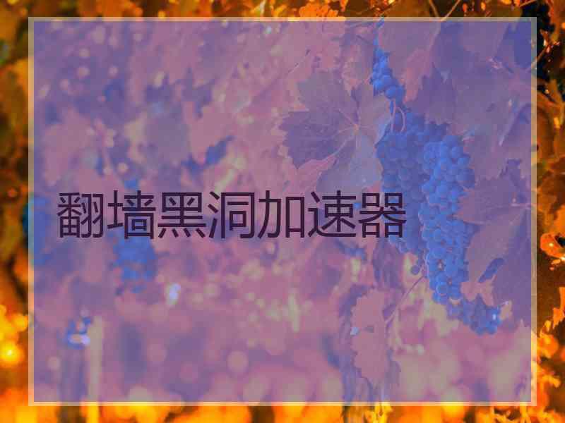 翻墙黑洞加速器