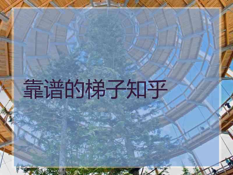 靠谱的梯子知乎