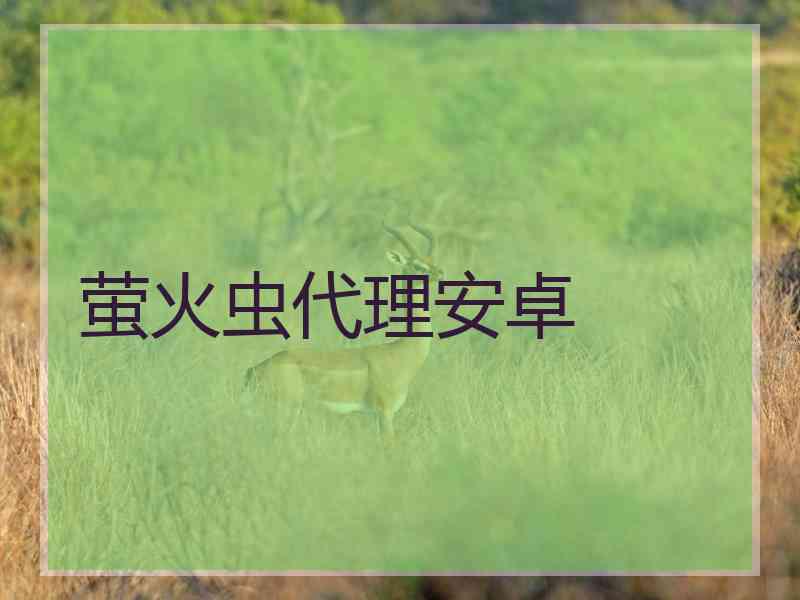 萤火虫代理安卓