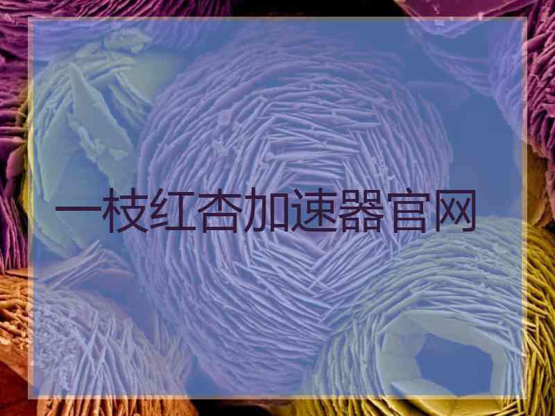 一枝红杏加速器官网