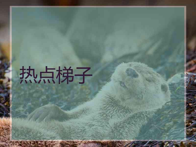 热点梯子