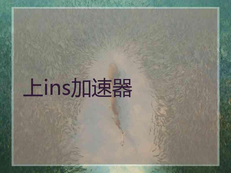 上ins加速器
