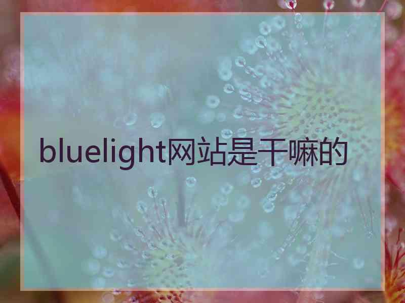 bluelight网站是干嘛的