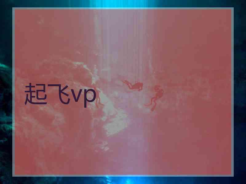 起飞vp