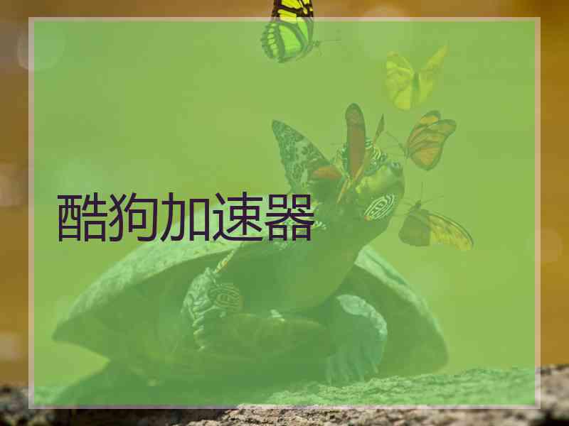 酷狗加速器