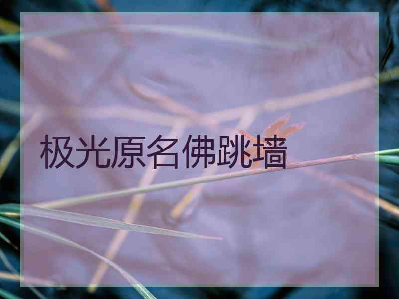 极光原名佛跳墙