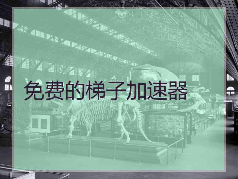 免费的梯子加速器