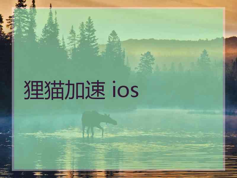 狸猫加速 ios