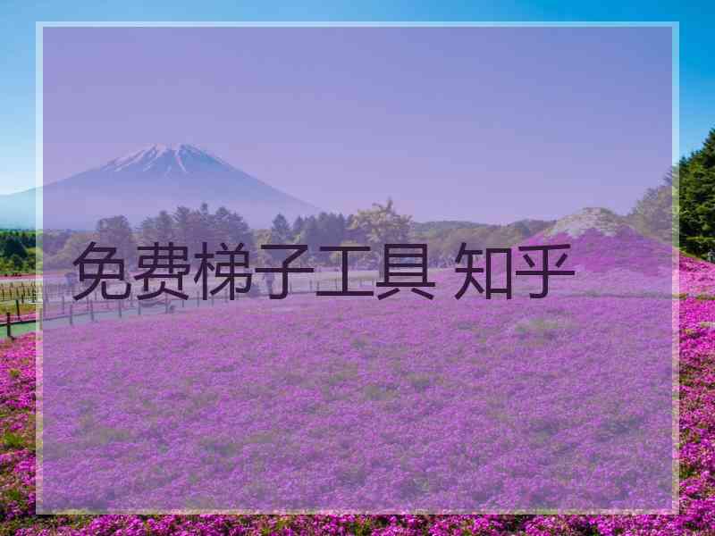 免费梯子工具 知乎