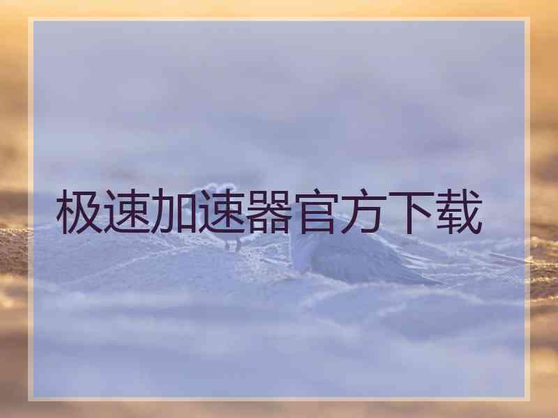 极速加速器官方下载