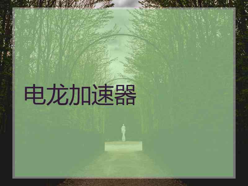 电龙加速器
