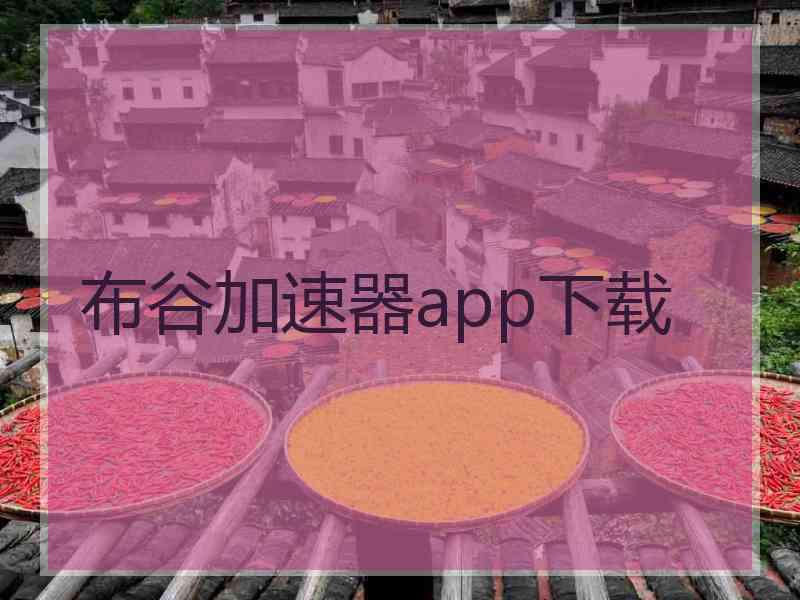 布谷加速器app下载