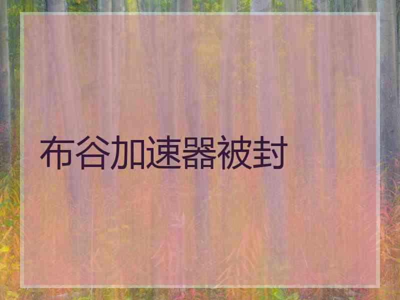 布谷加速器被封