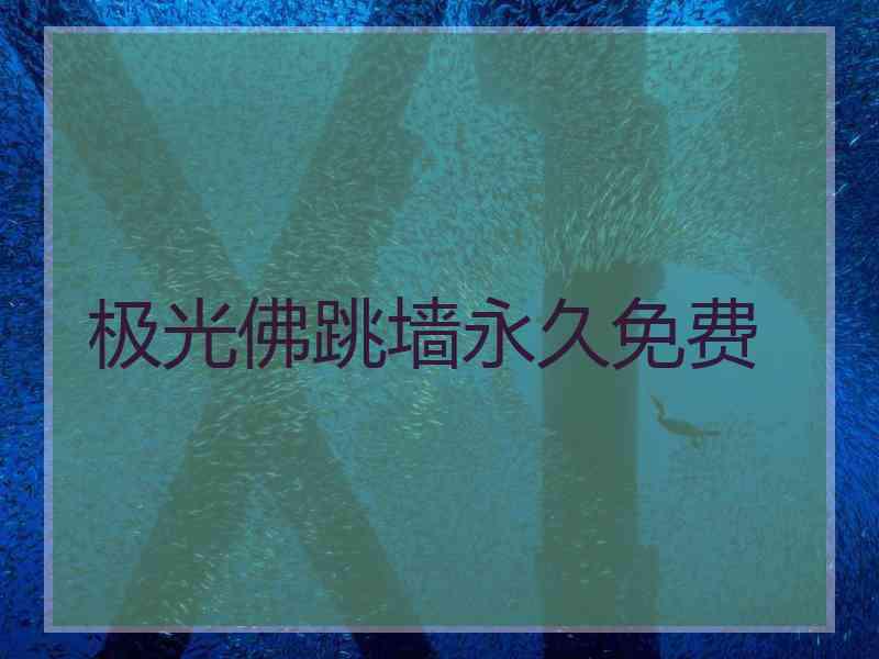 极光佛跳墙永久免费