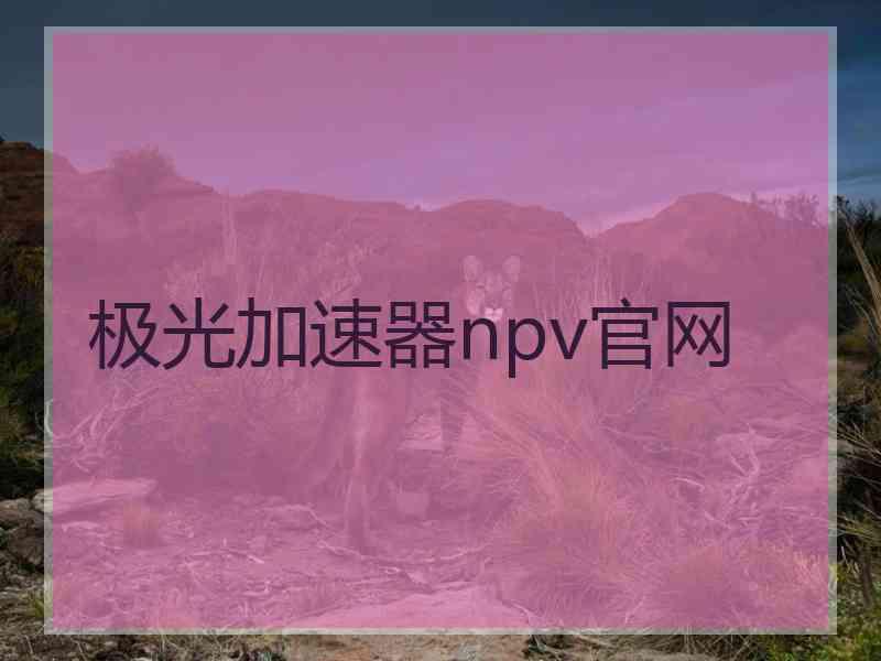 极光加速器npv官网