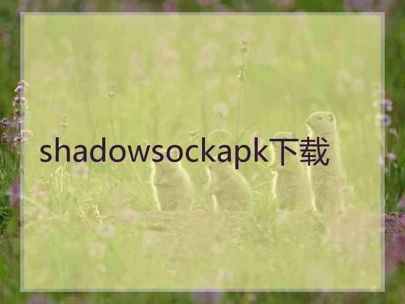 shadowsockapk下载