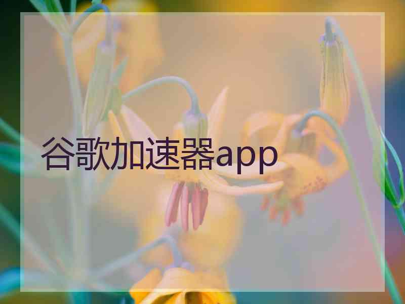 谷歌加速器app