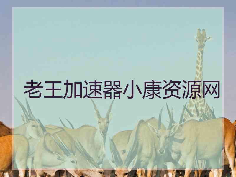 老王加速器小康资源网