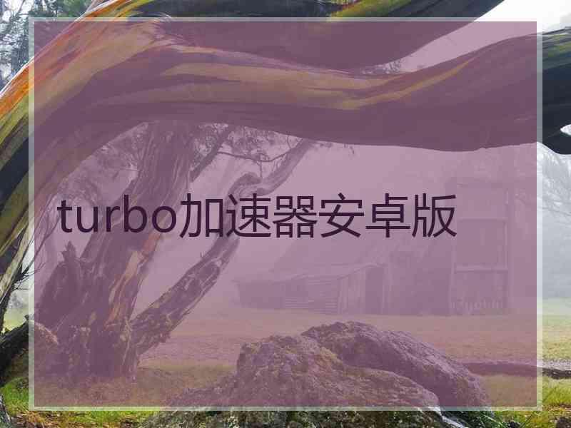 turbo加速器安卓版