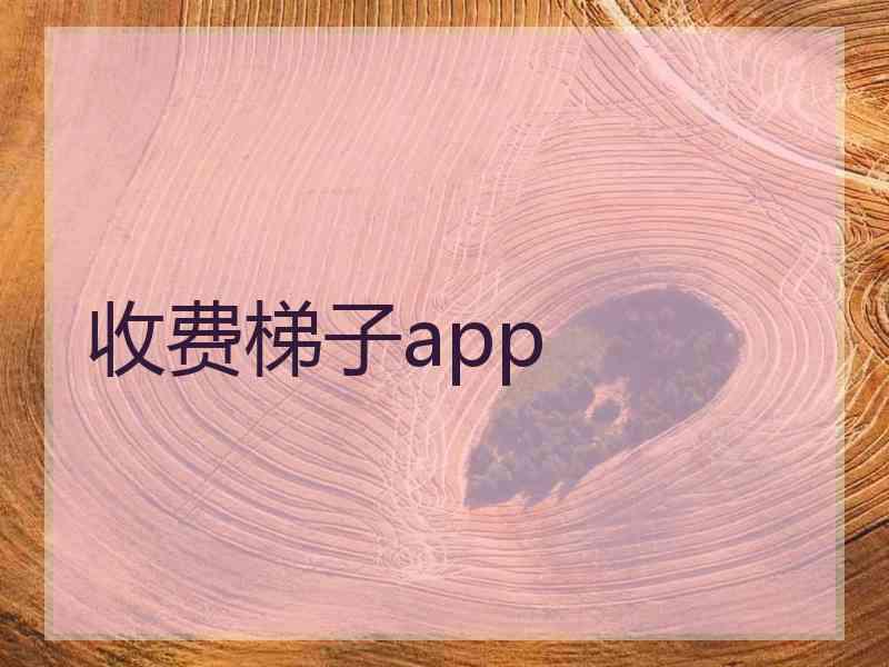 收费梯子app