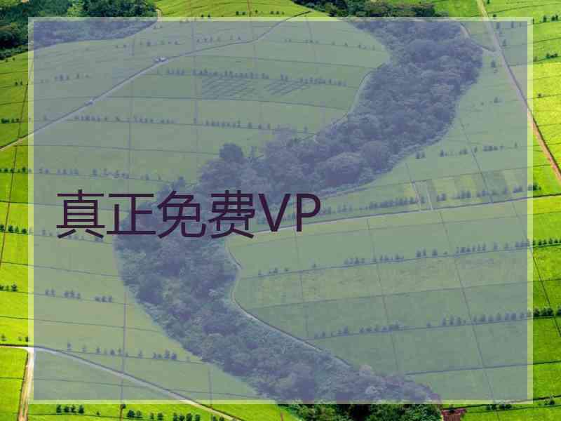真正免费VP