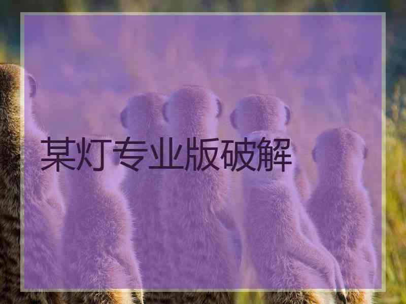 某灯专业版破解