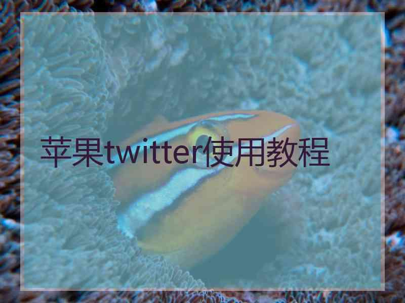 苹果twitter使用教程