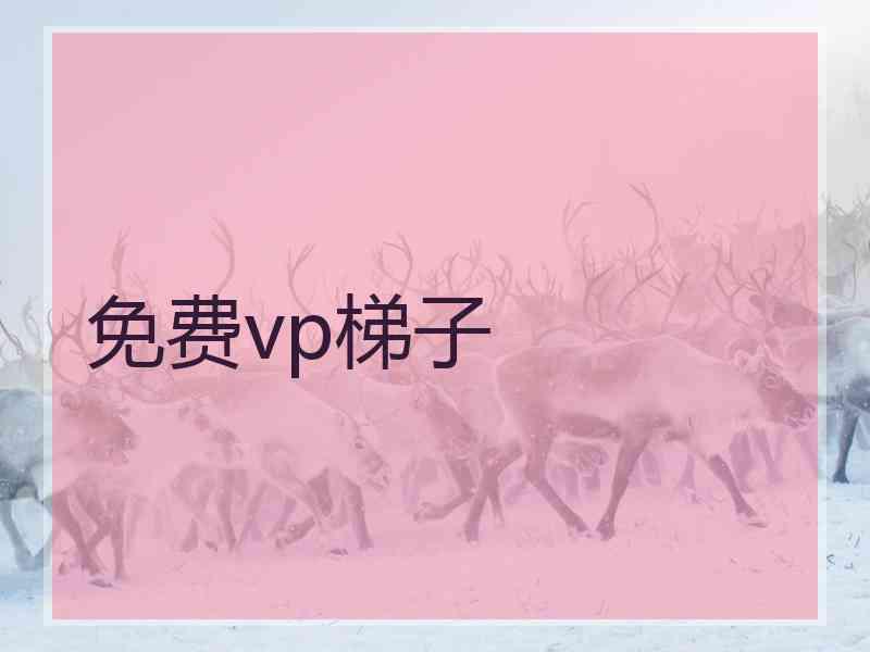 免费vp梯子