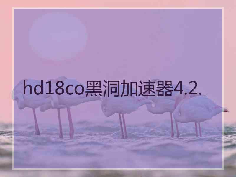 hd18co黑洞加速器4.2.