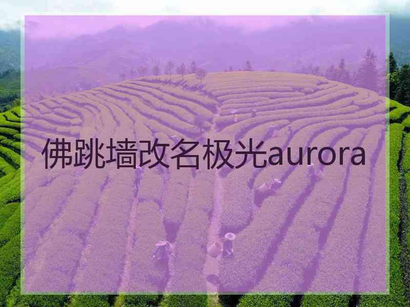 佛跳墙改名极光aurora