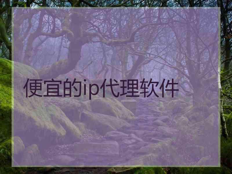 便宜的ip代理软件