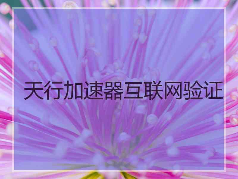 天行加速器互联网验证