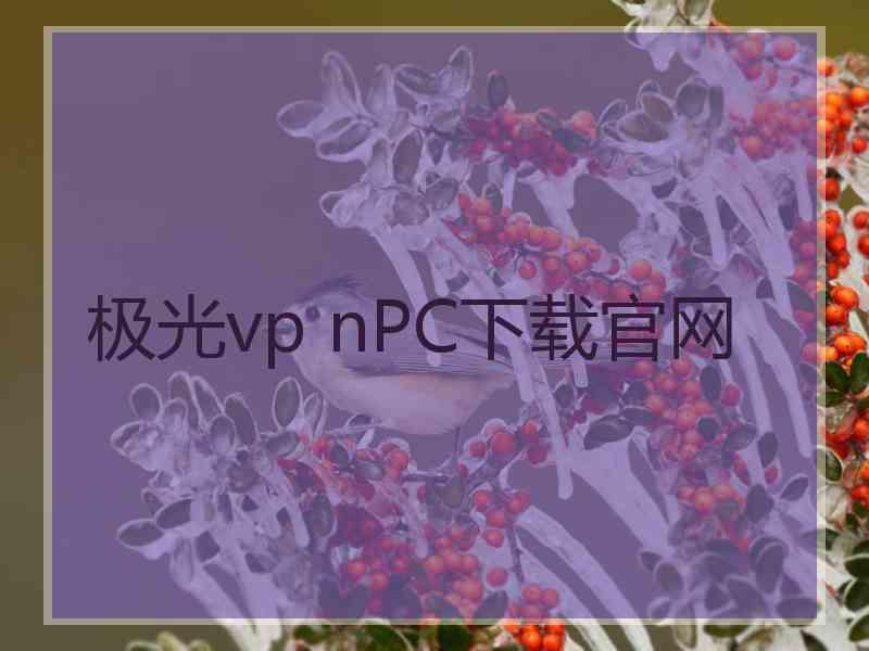 极光vp nPC下载官网