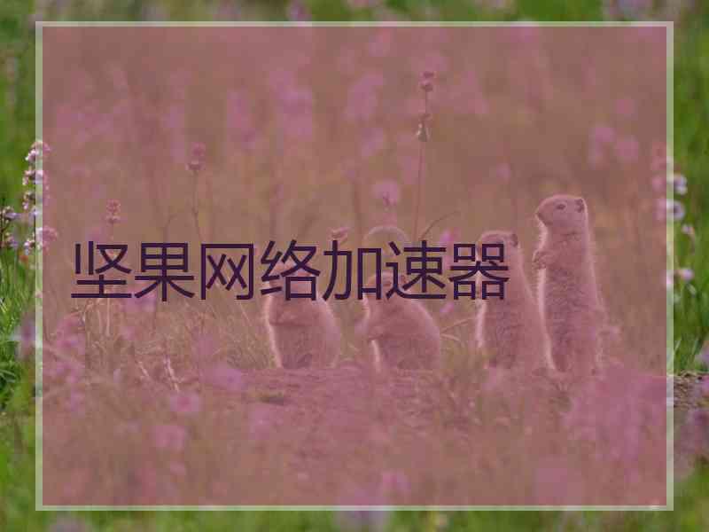 坚果网络加速器