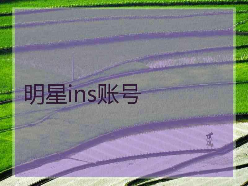 明星ins账号