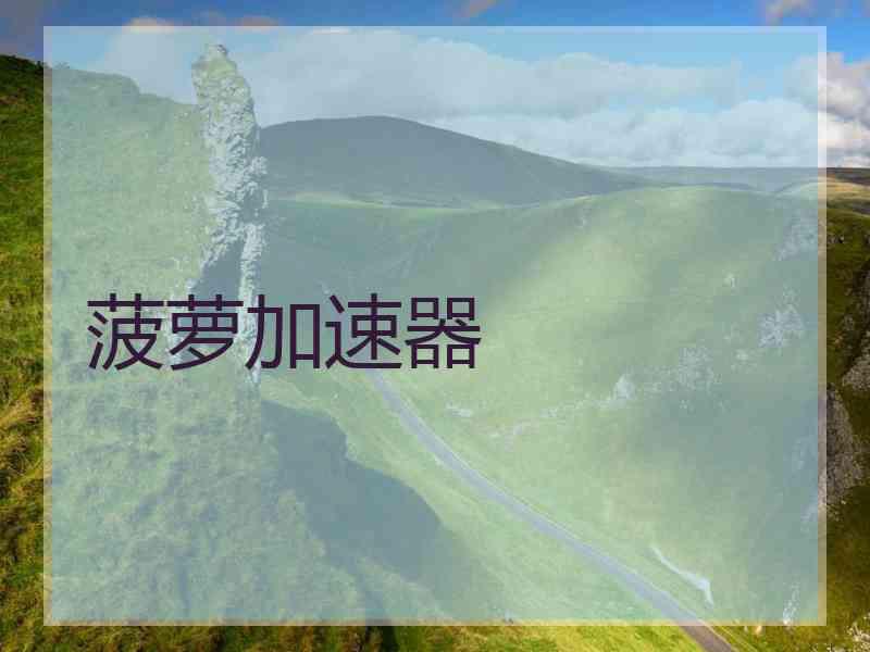 菠萝加速器