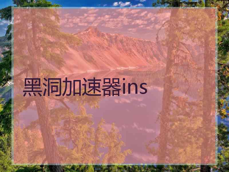 黑洞加速器ins