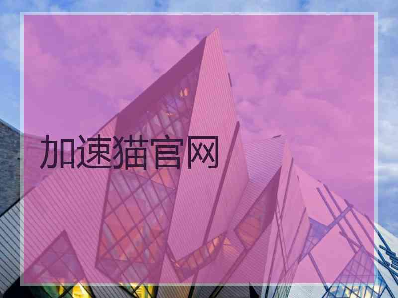 加速猫官网