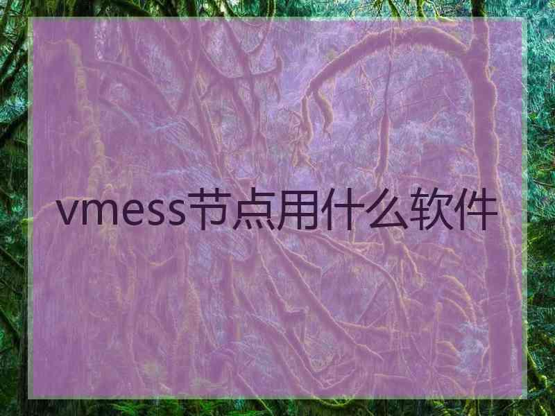 vmess节点用什么软件
