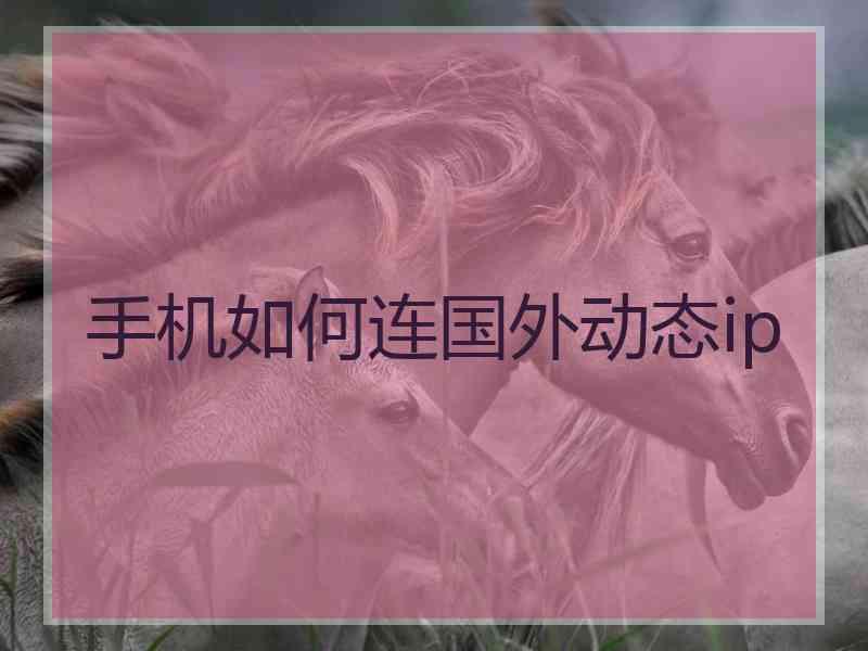 手机如何连国外动态ip