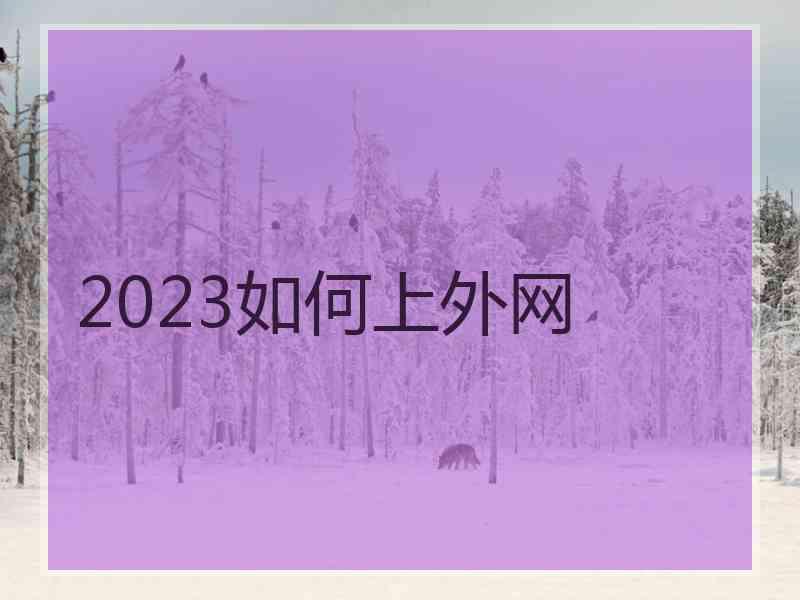 2023如何上外网