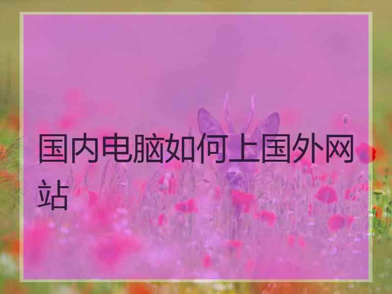 国内电脑如何上国外网站