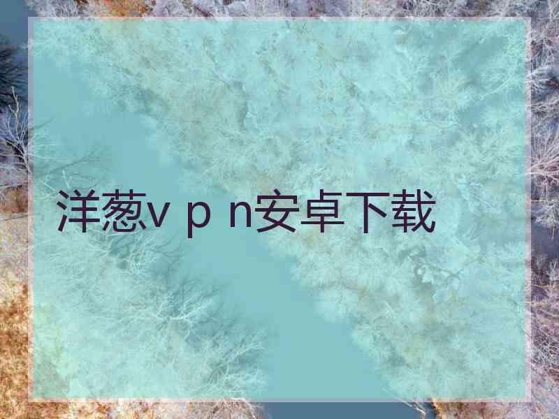 洋葱v p n安卓下载