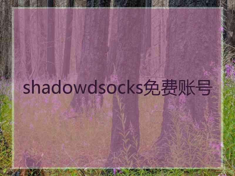 shadowdsocks免费账号